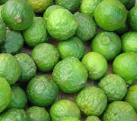 36 Kaffir Lime Fruits